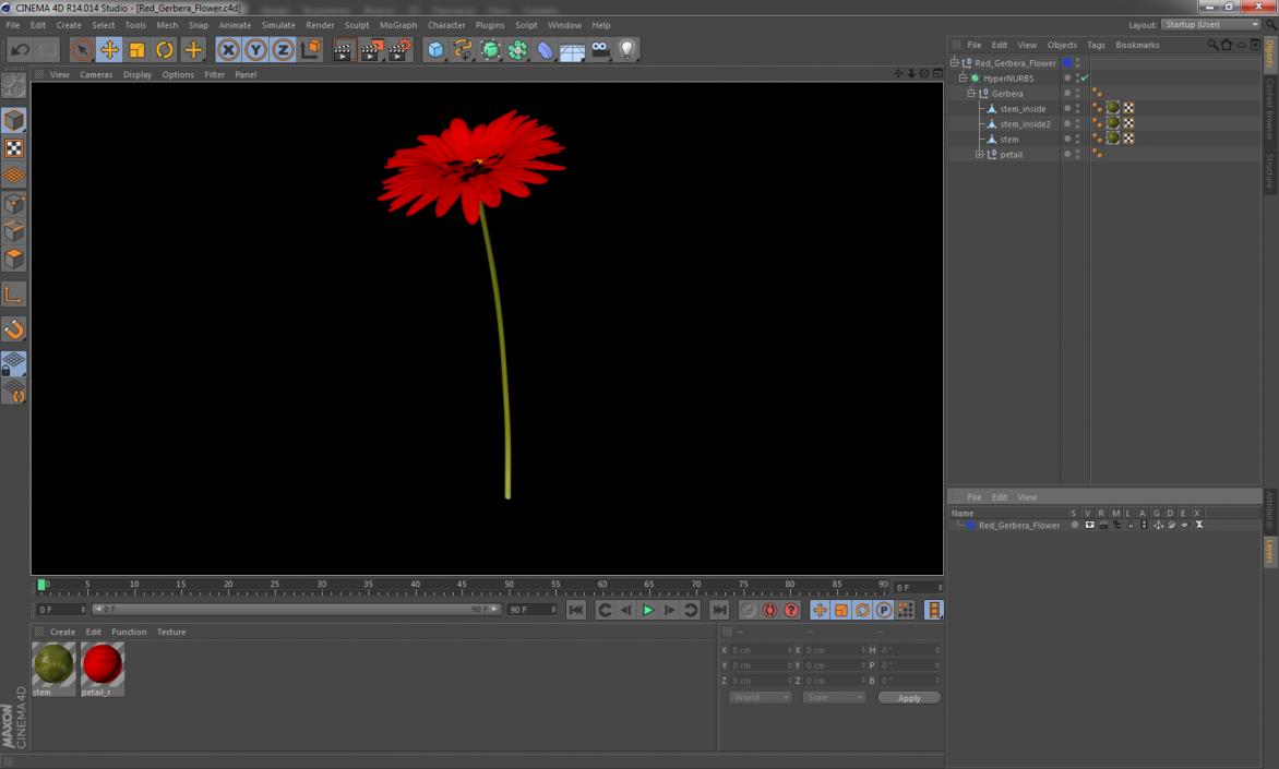 3D Red Gerbera Flower model