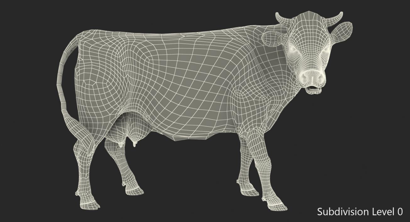 3D model Dairy Cow with Fur Rigged