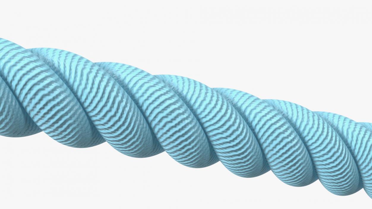 3D Battle Rope Alternating Waves Position model