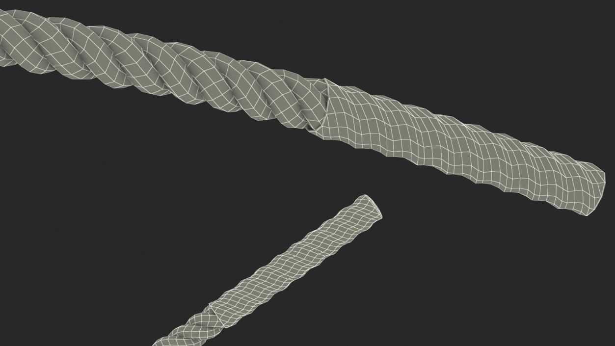 3D Battle Rope Alternating Waves Position model