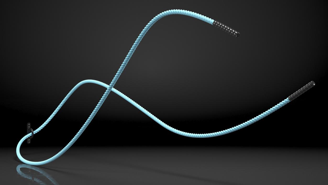 3D Battle Rope Alternating Waves Position model