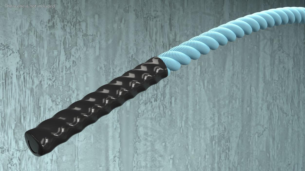 3D Battle Rope Alternating Waves Position model