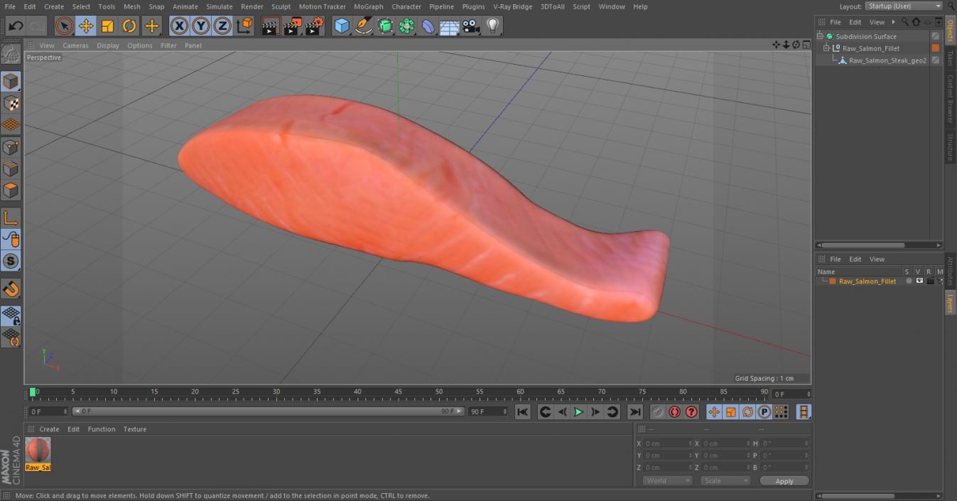 Raw Salmon Fillet 3D