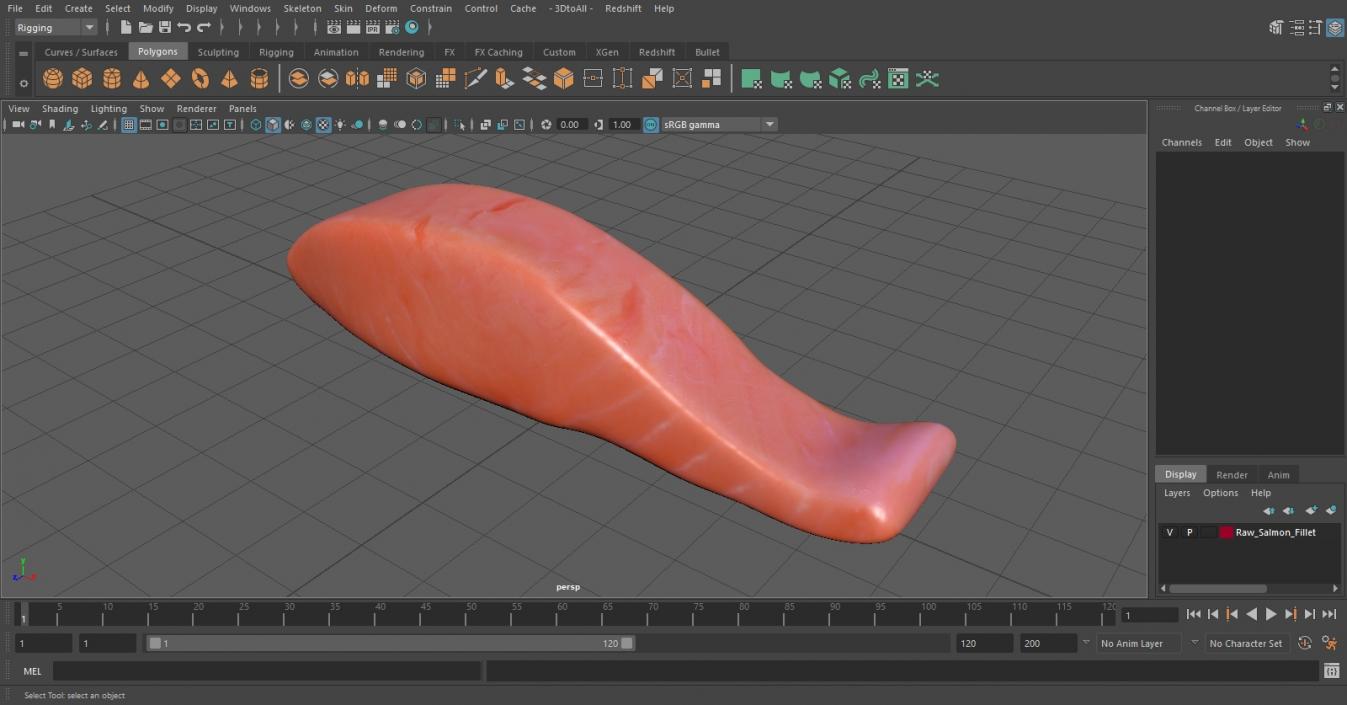 Raw Salmon Fillet 3D