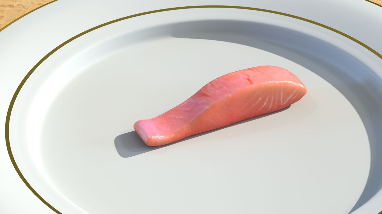 Raw Salmon Fillet 3D