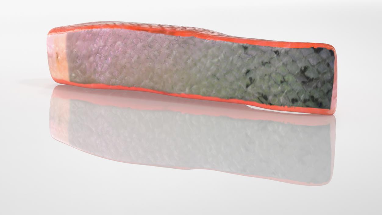 Raw Salmon Fillet 3D