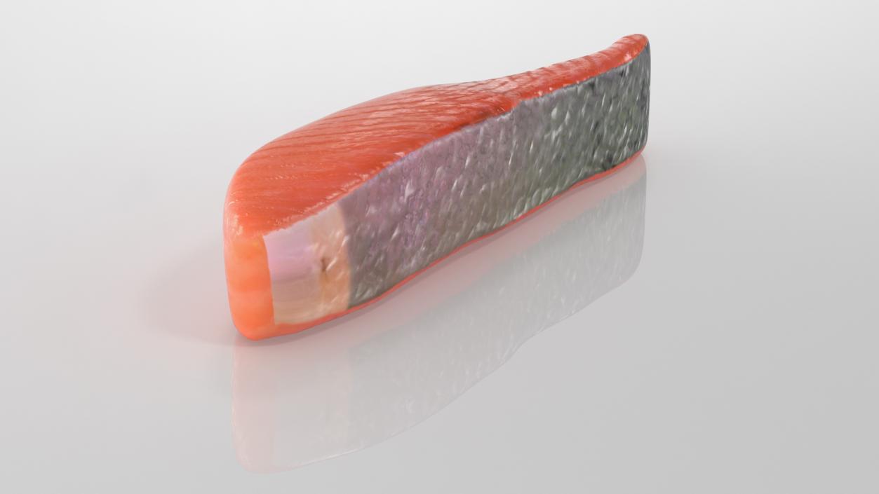 Raw Salmon Fillet 3D