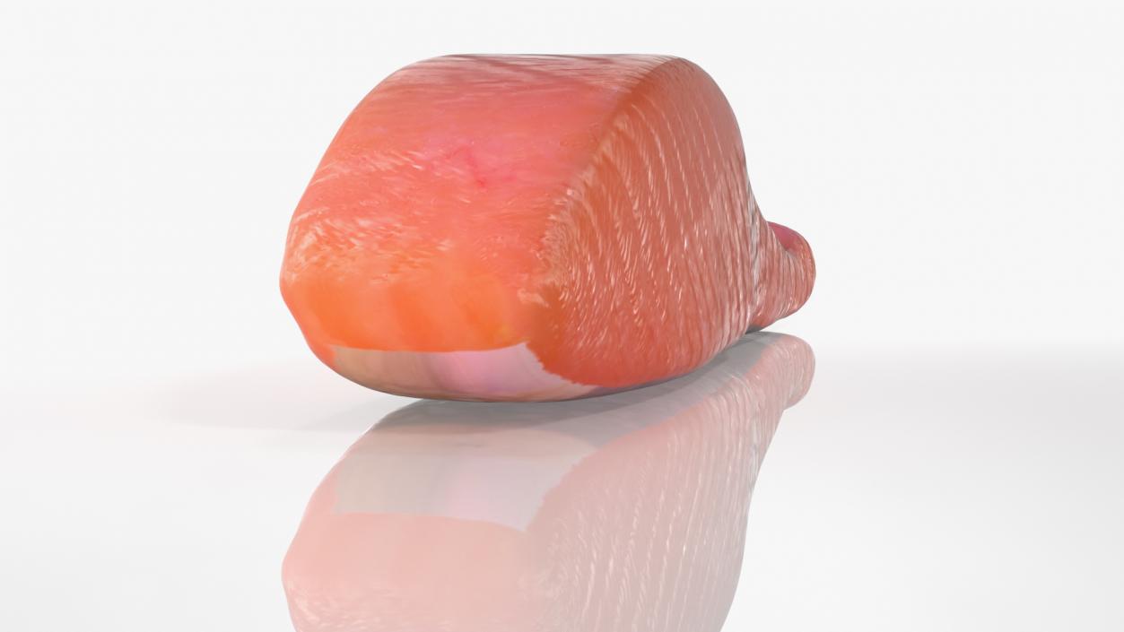 Raw Salmon Fillet 3D