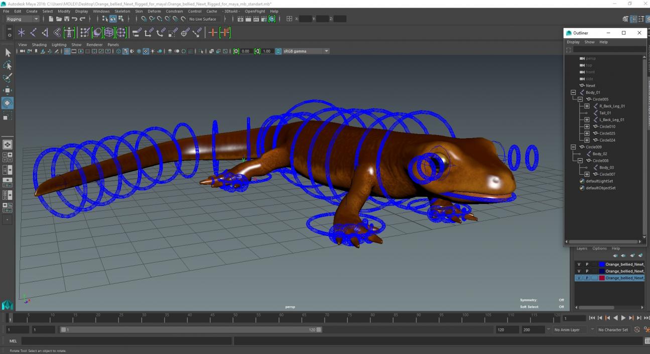 3D model Orange-bellied Newt Rigged for Maya