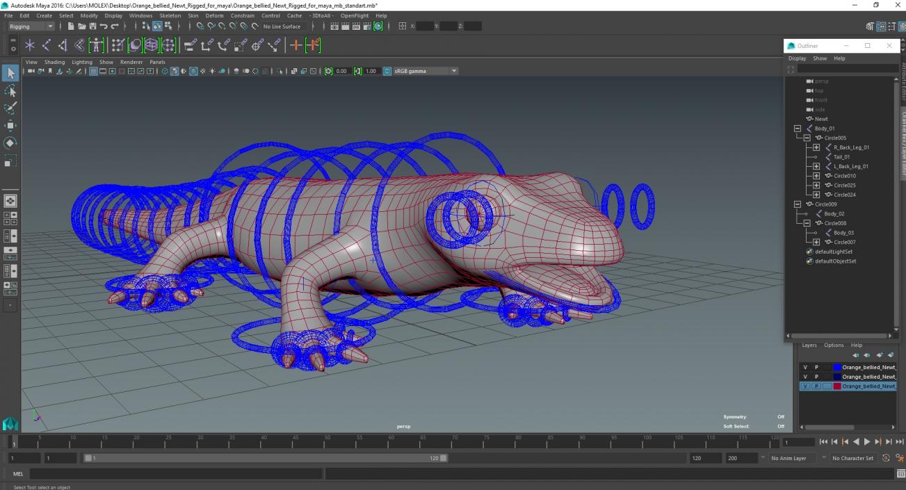 3D model Orange-bellied Newt Rigged for Maya