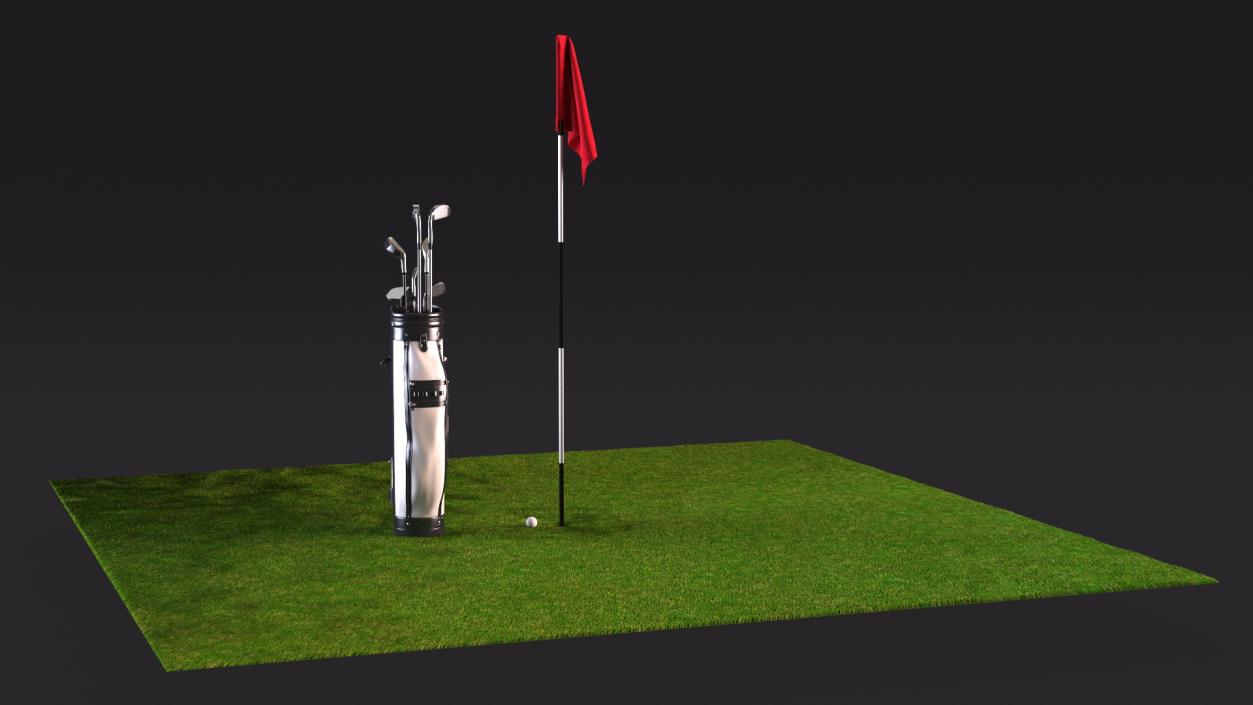 3D Golf Hole and Clubs Fur model