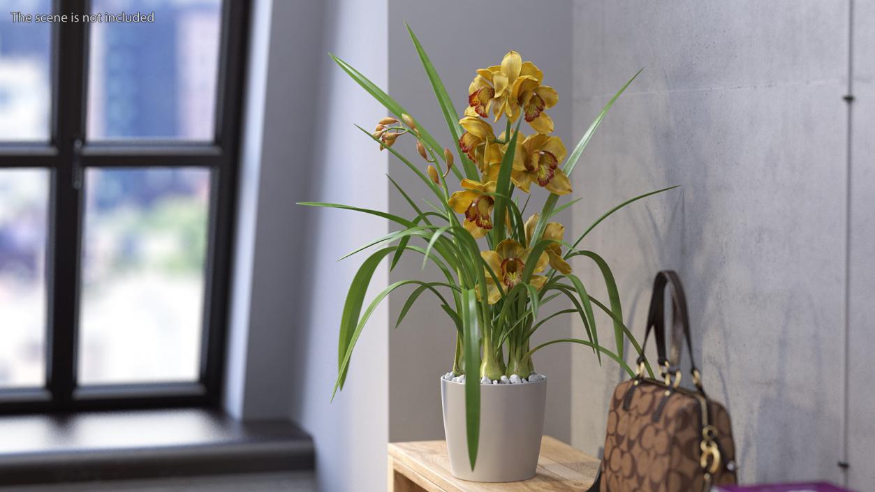 Orchid Pot Yellow 3D