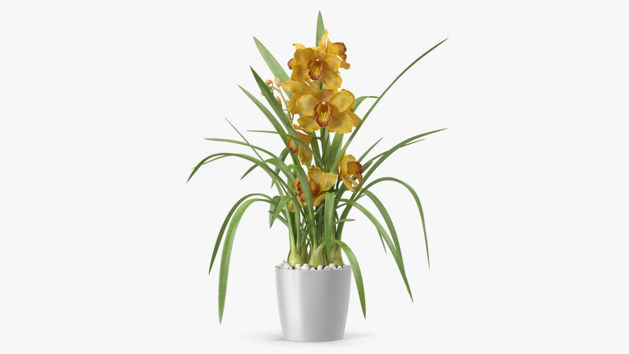 Orchid Pot Yellow 3D