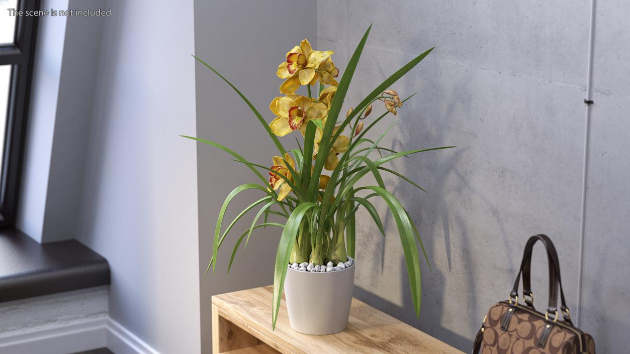 Orchid Pot Yellow 3D