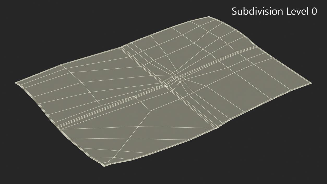 Sheet of Paper Folded in Four 3D model