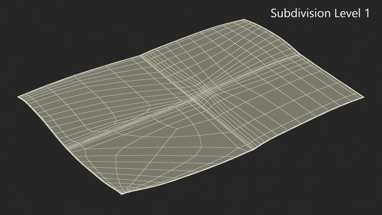 Sheet of Paper Folded in Four 3D model