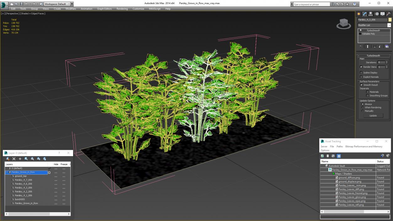 3D model Parsley Grows in Row