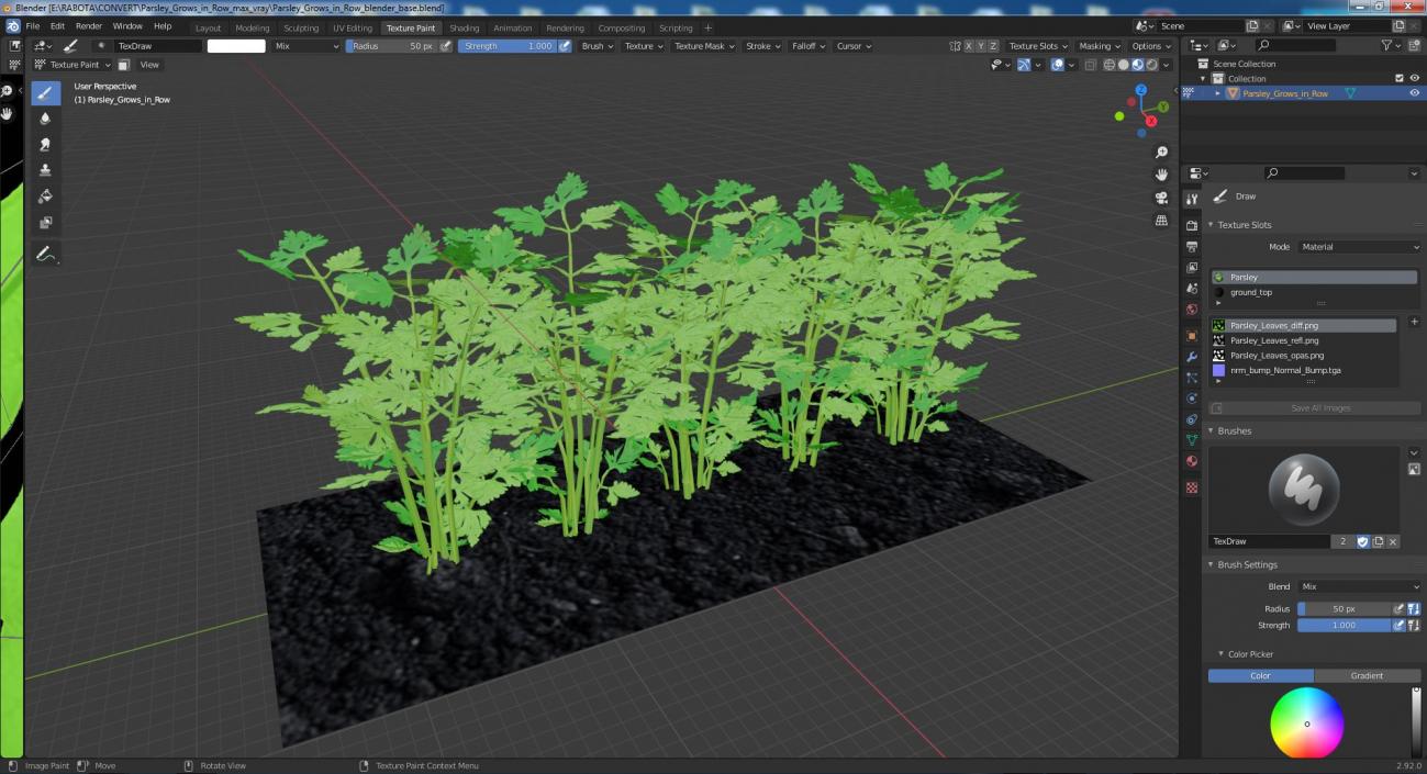 3D model Parsley Grows in Row