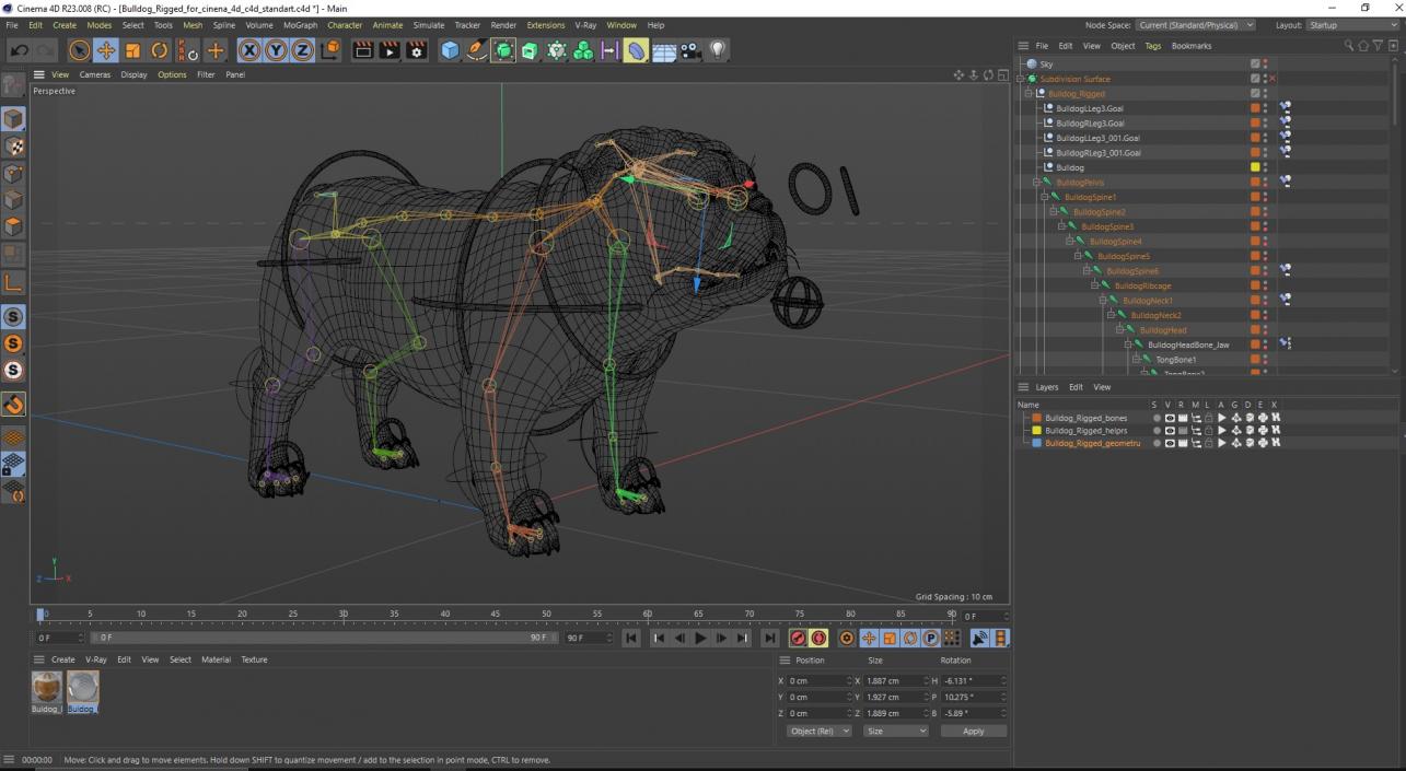 3D Bulldog Rigged for Cinema 4D model