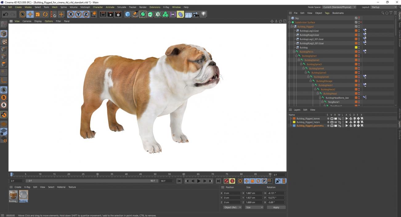 3D Bulldog Rigged for Cinema 4D model