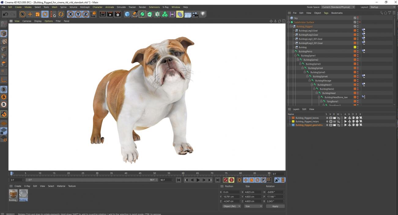 3D Bulldog Rigged for Cinema 4D model