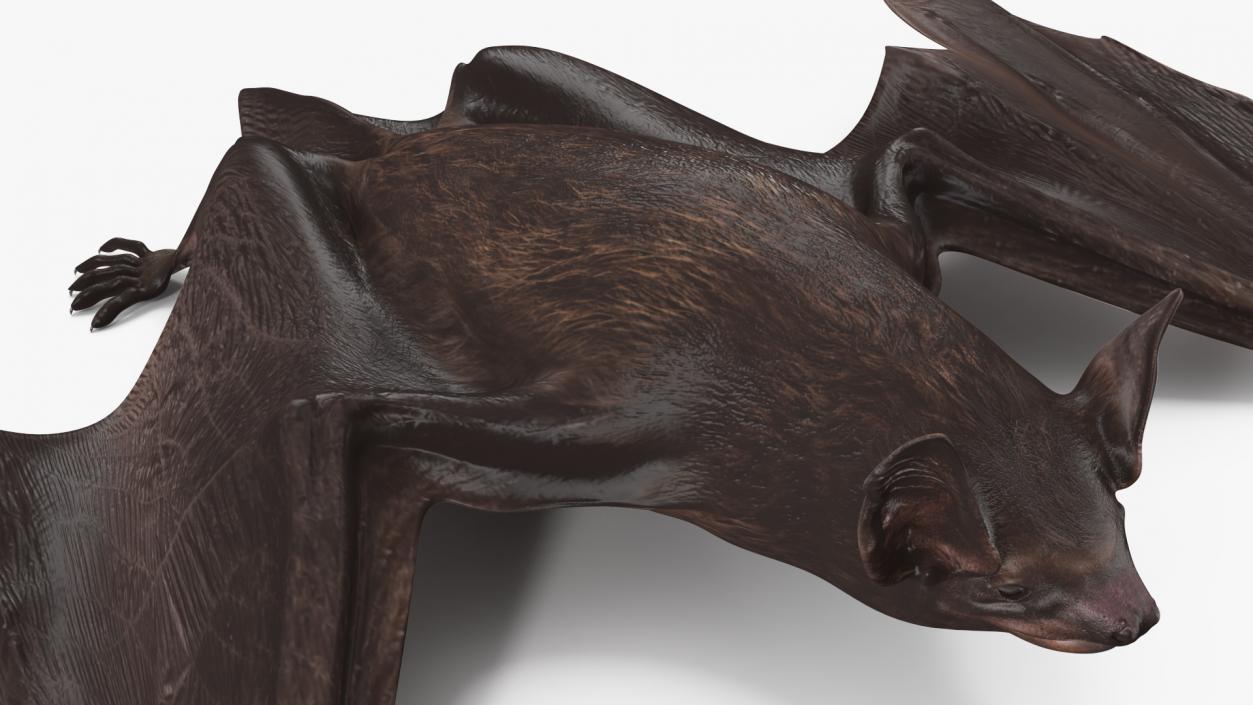 Black Bat Pose 3D model