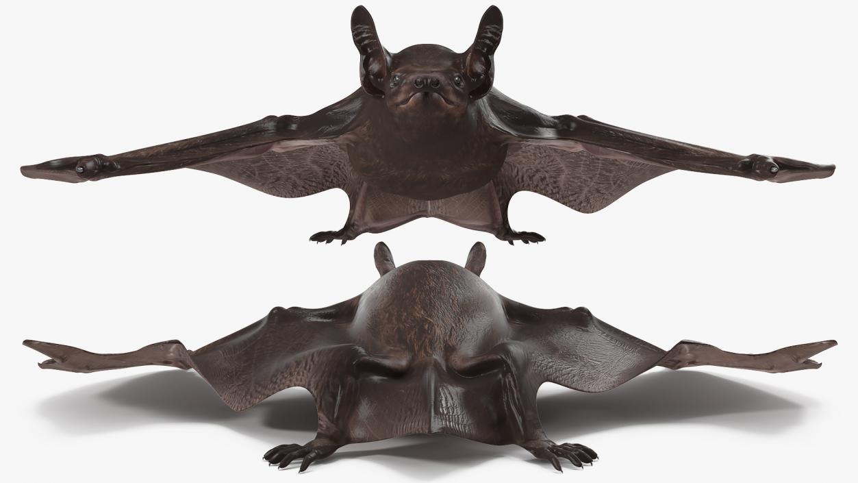 Black Bat Pose 3D model