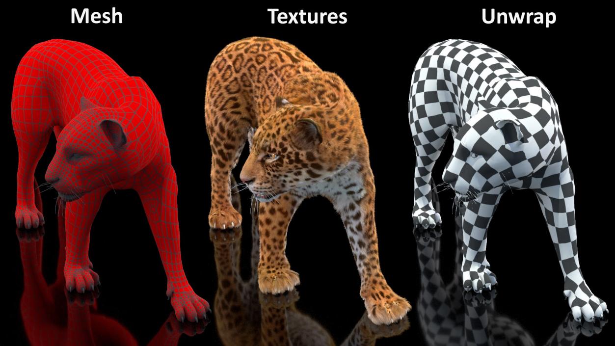 3D Big Cats Fur Collection model