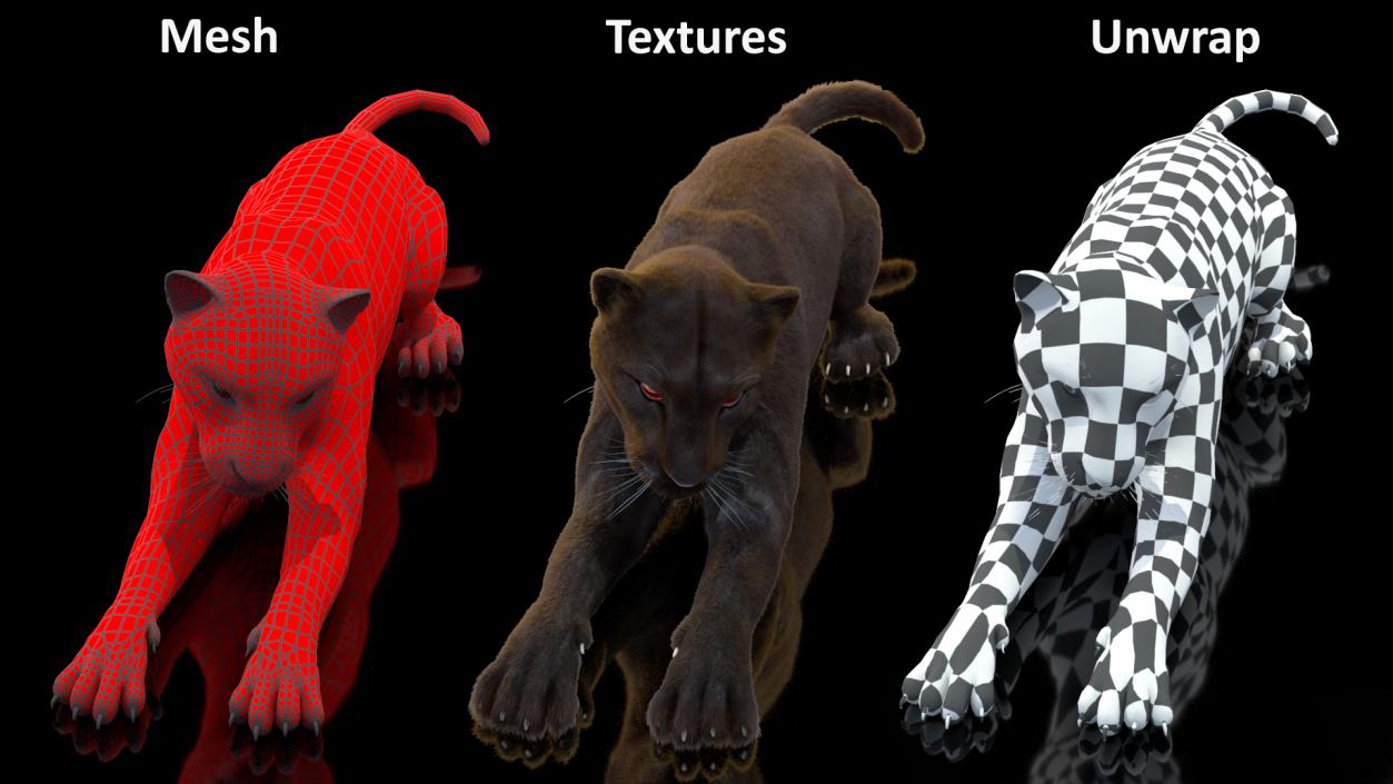 3D Big Cats Fur Collection model