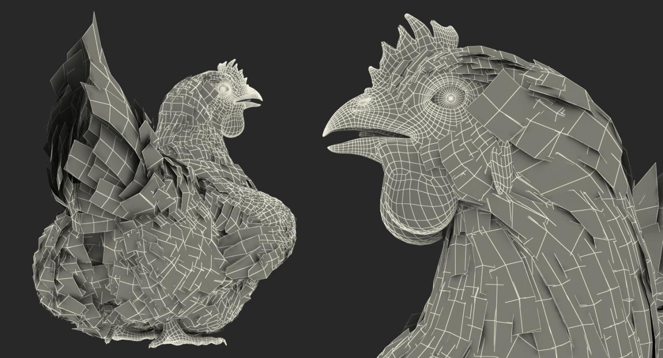 3D model White Chicken Rigged