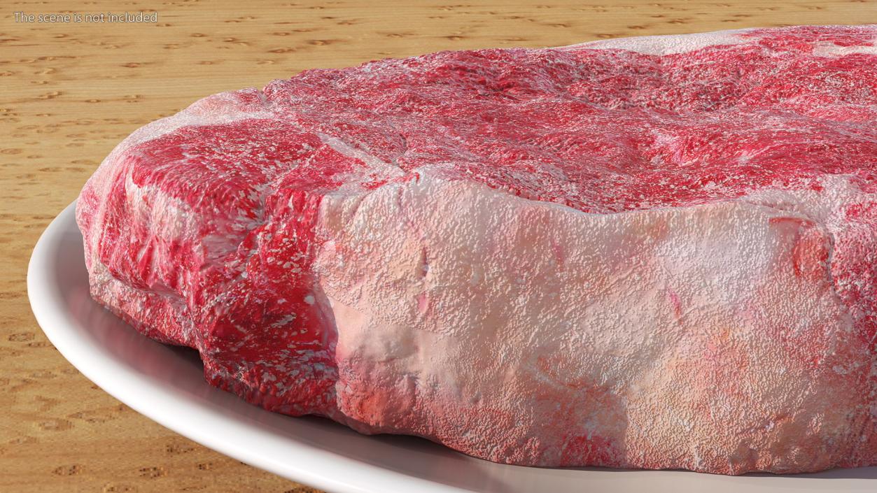 Meat Slice Frozen on Plates 3D