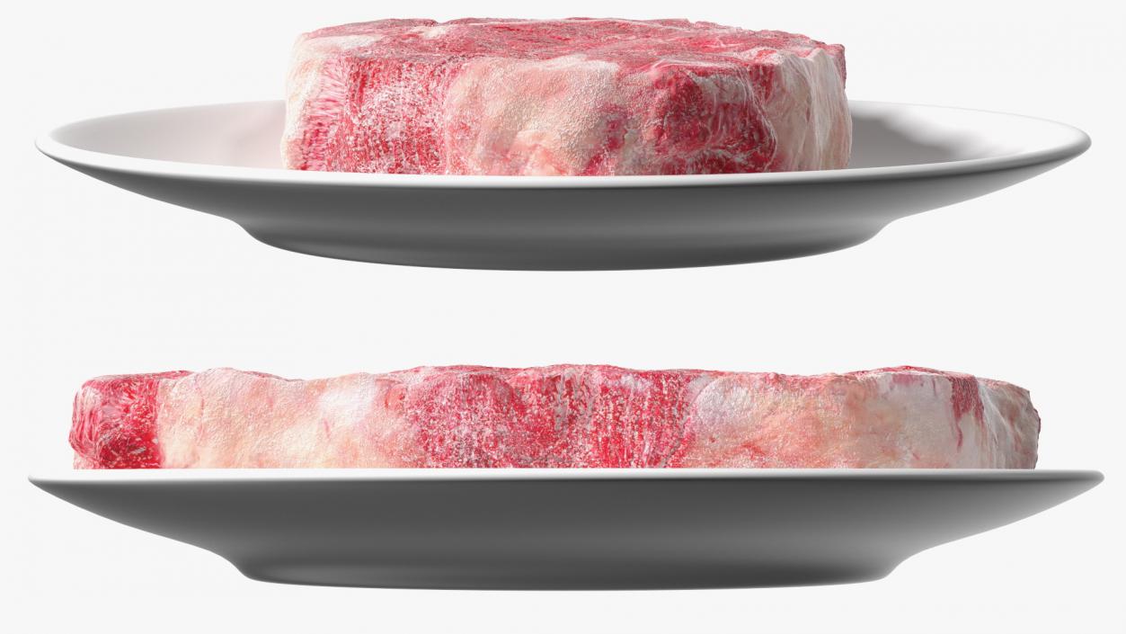 Meat Slice Frozen on Plates 3D