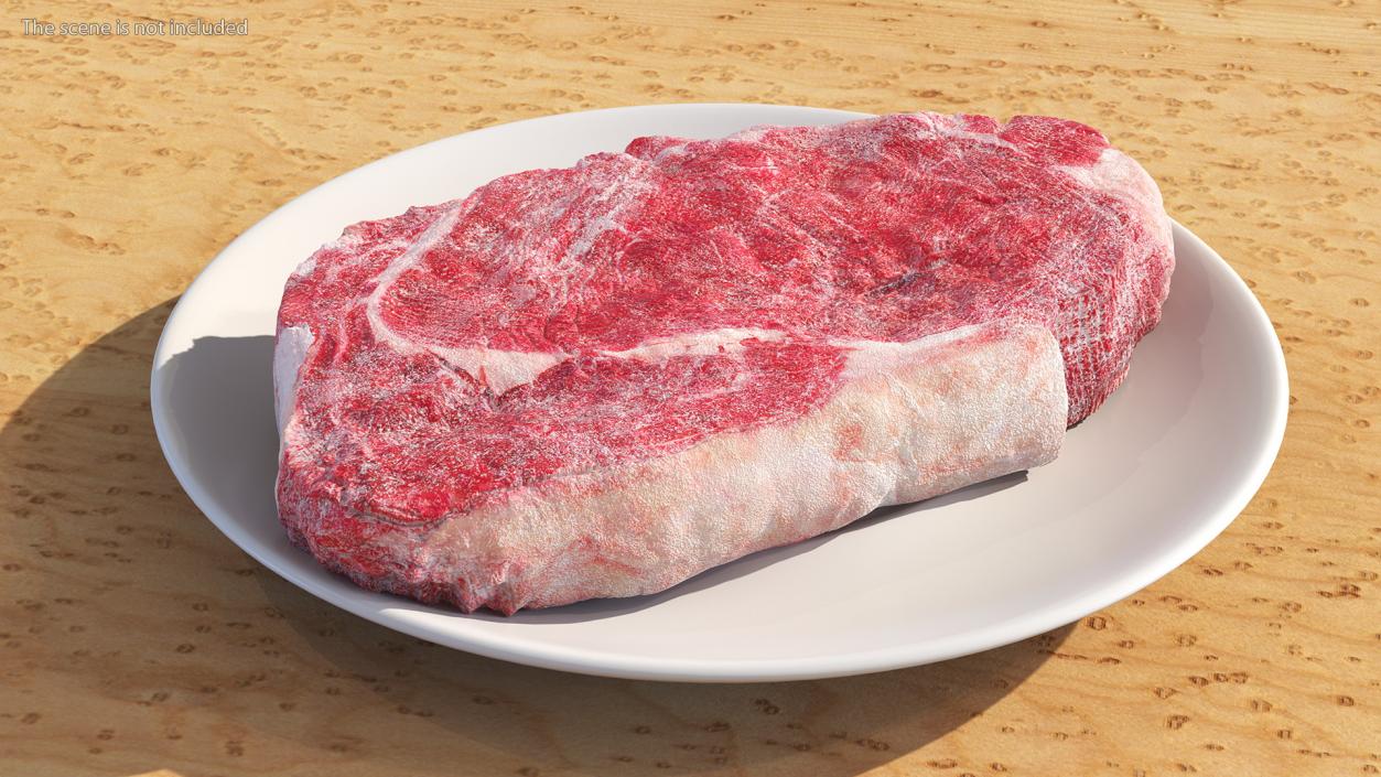 Meat Slice Frozen on Plates 3D