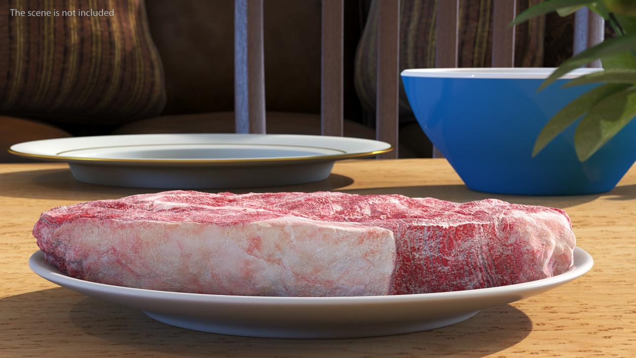 Meat Slice Frozen on Plates 3D