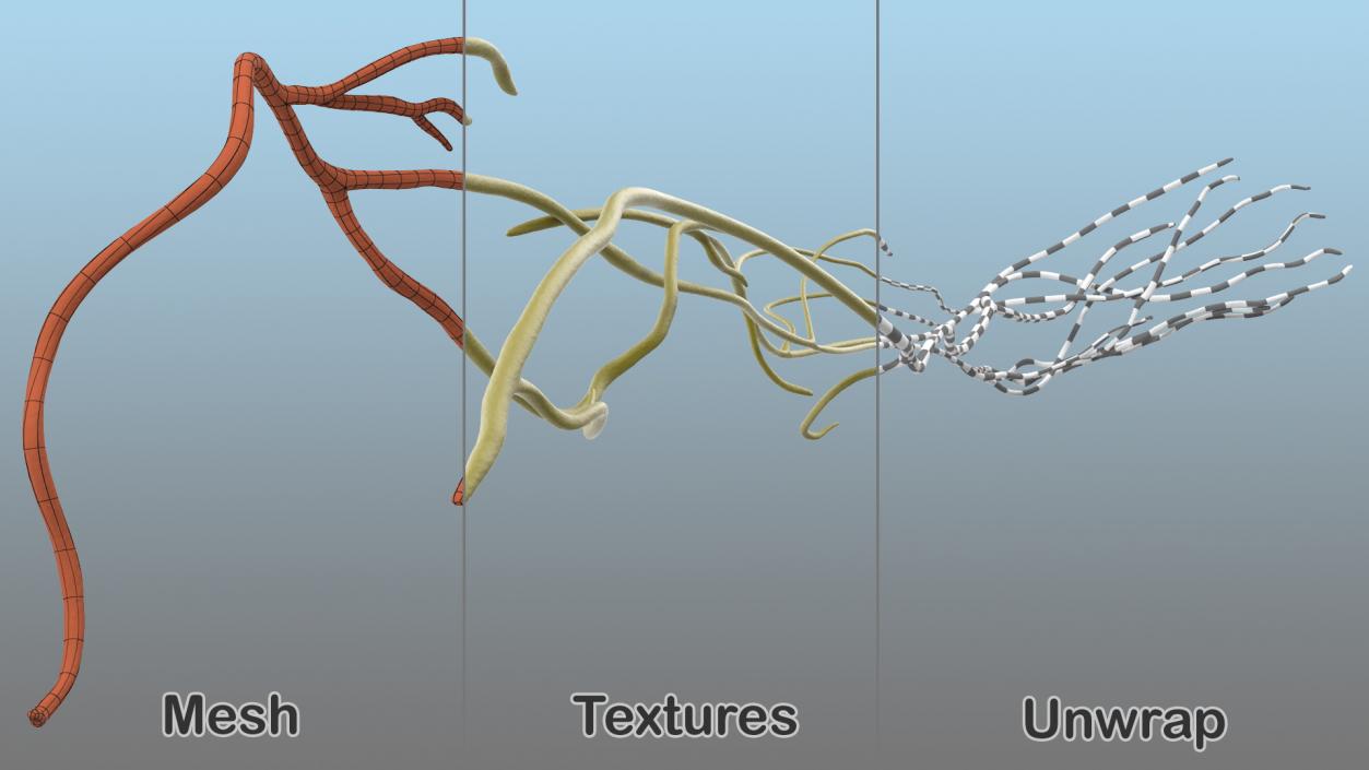 Human Leg Nervous System 3D model