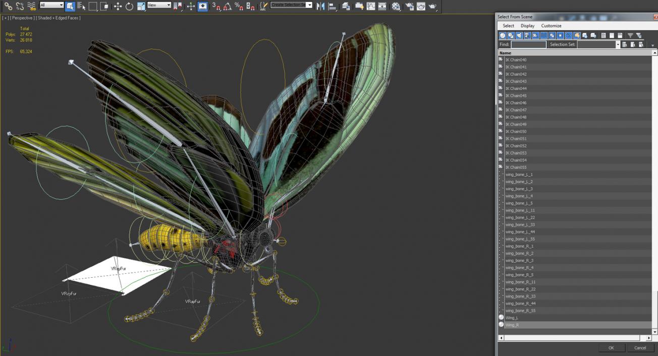 3D Queen Alexandras Birdwing Butterfly Rigged with Fur