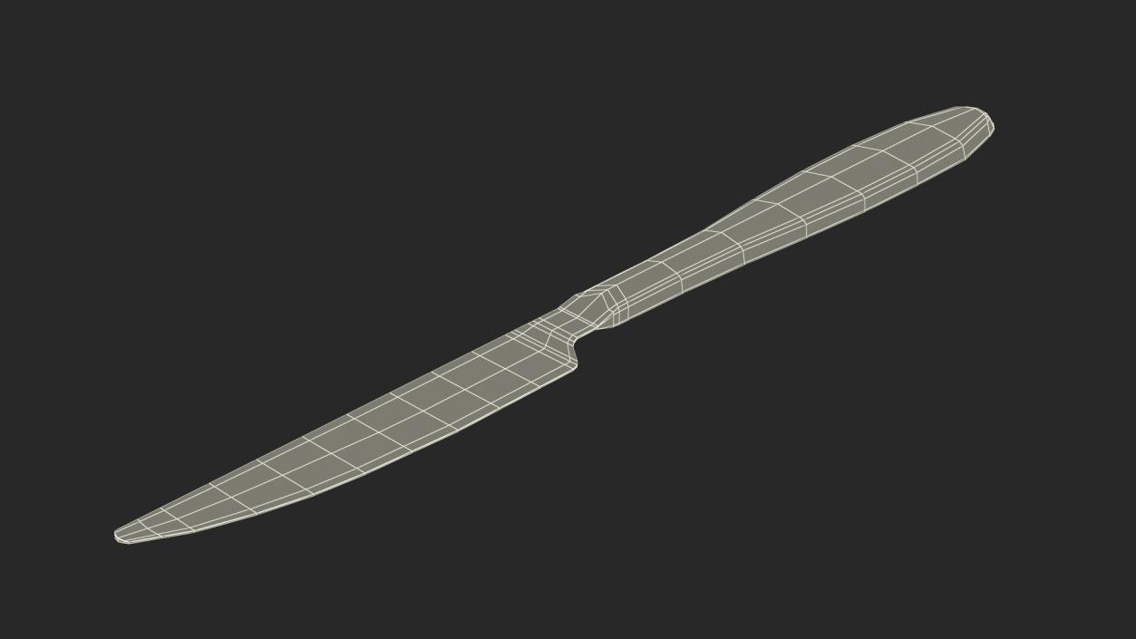 Silver Knife 2 3D model