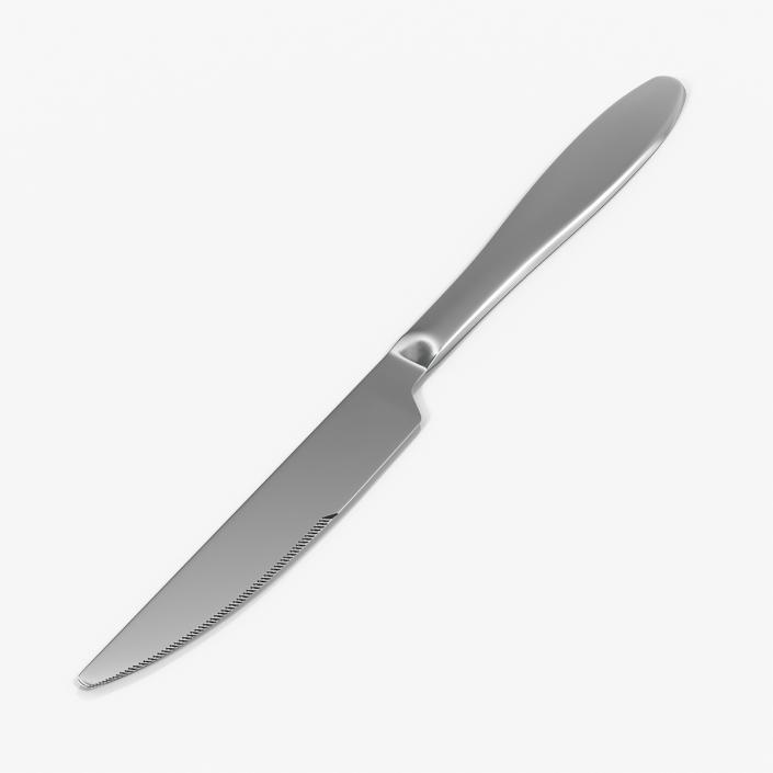 Silver Knife 2 3D model