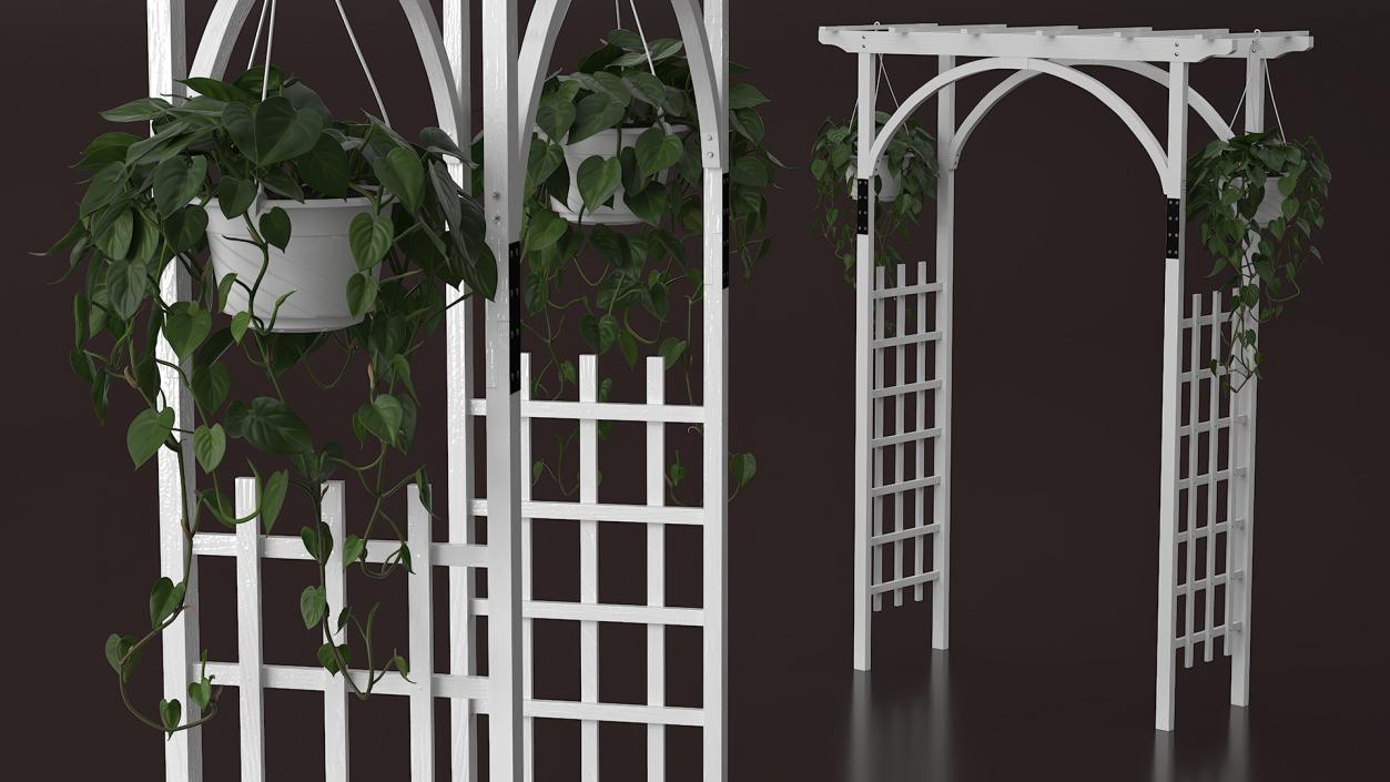 Garden Arch with Climbing Plants 3D