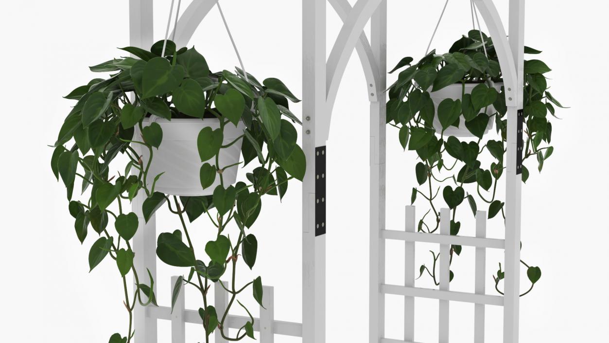 Garden Arch with Climbing Plants 3D