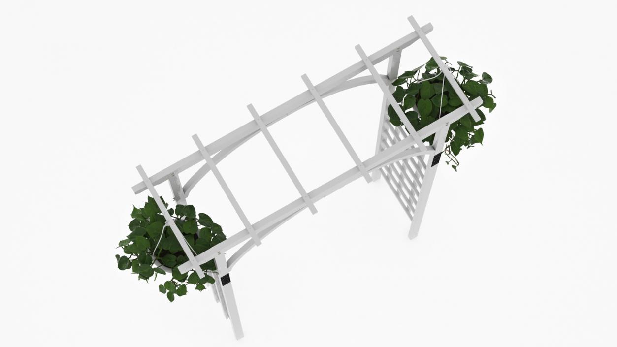 Garden Arch with Climbing Plants 3D