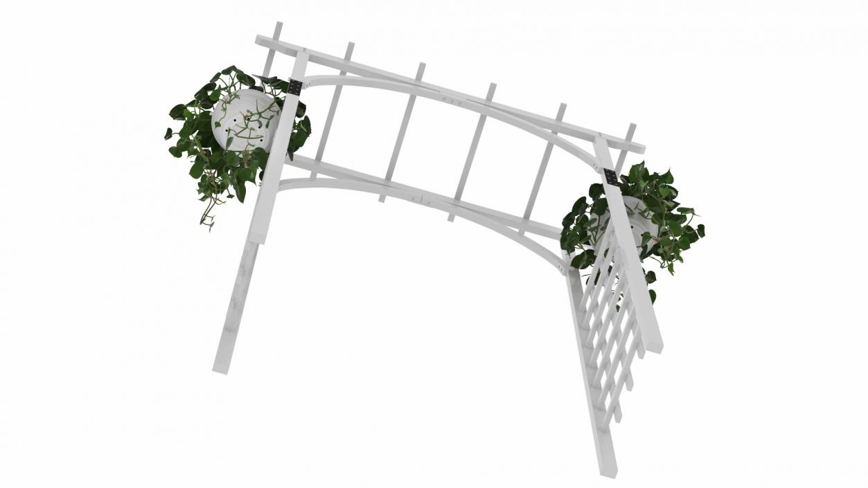 Garden Arch with Climbing Plants 3D