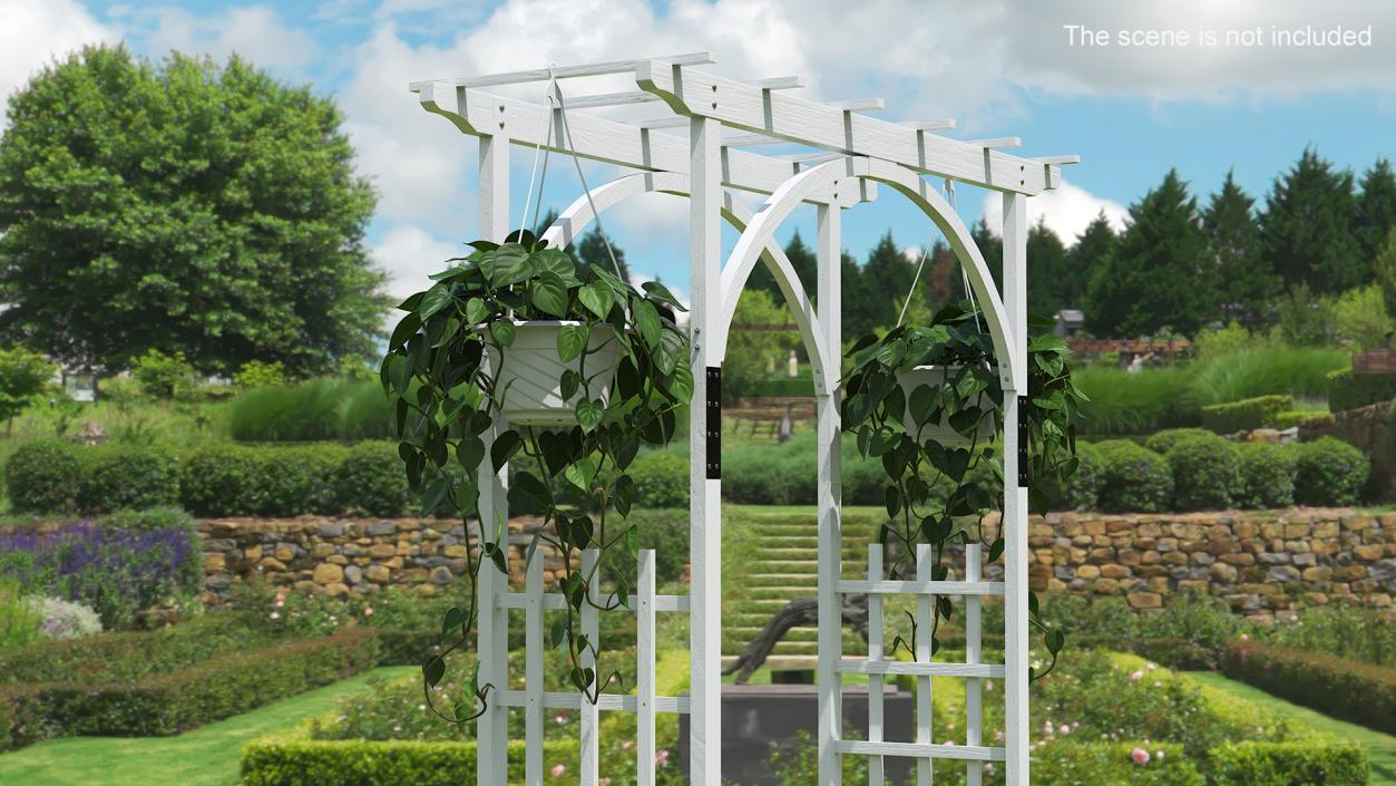 Garden Arch with Climbing Plants 3D