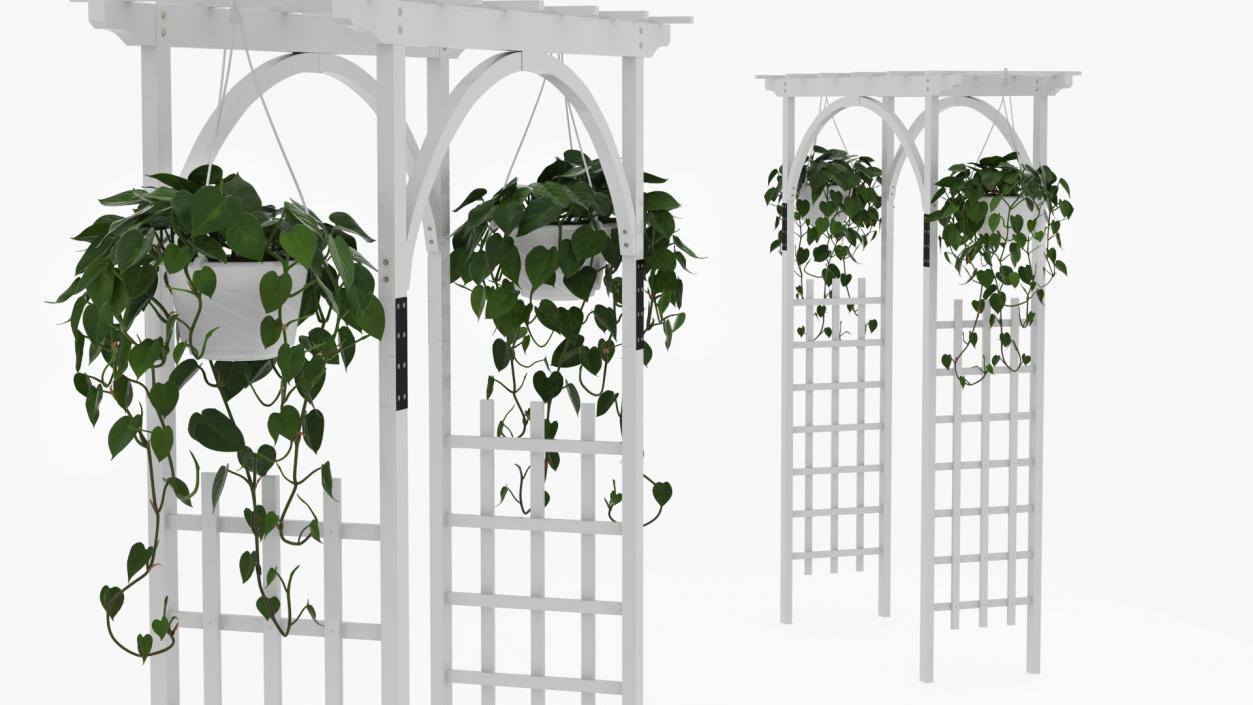 Garden Arch with Climbing Plants 3D