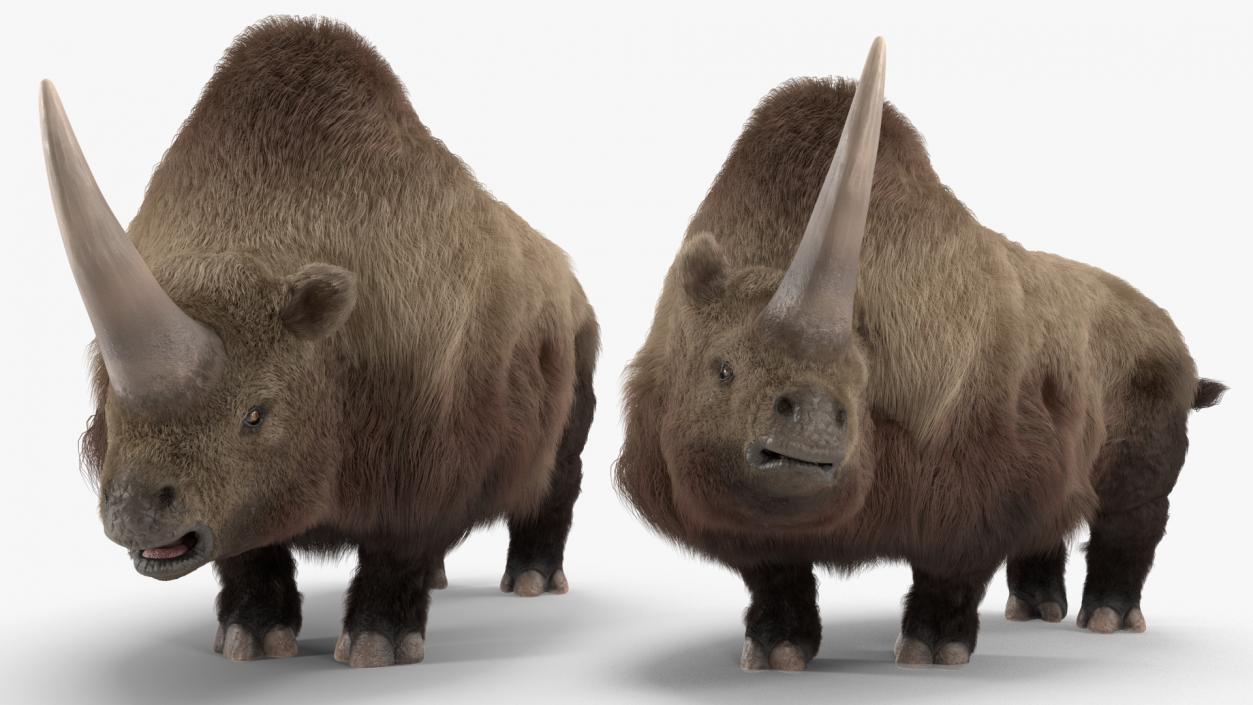 Elasmotherium Rigged Fur 3D model