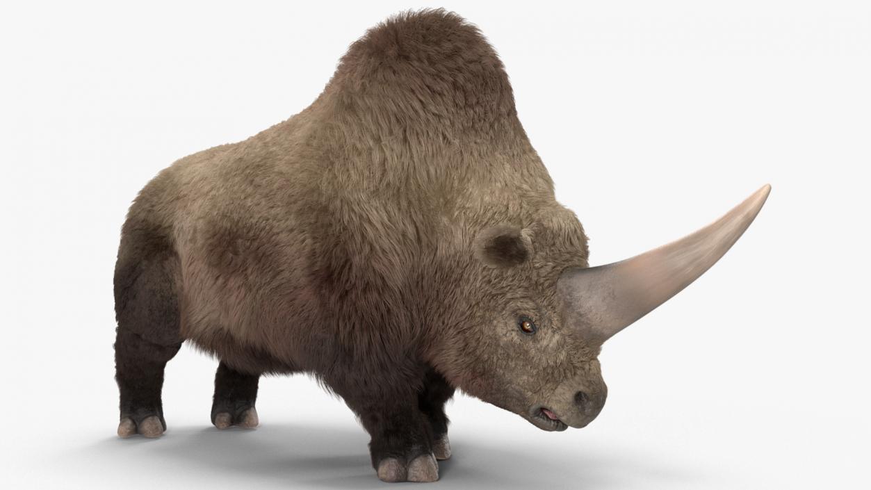 Elasmotherium Rigged Fur 3D model