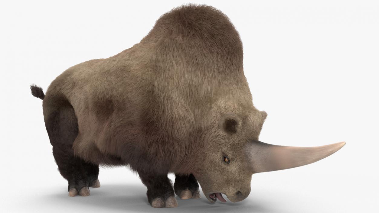 Elasmotherium Rigged Fur 3D model