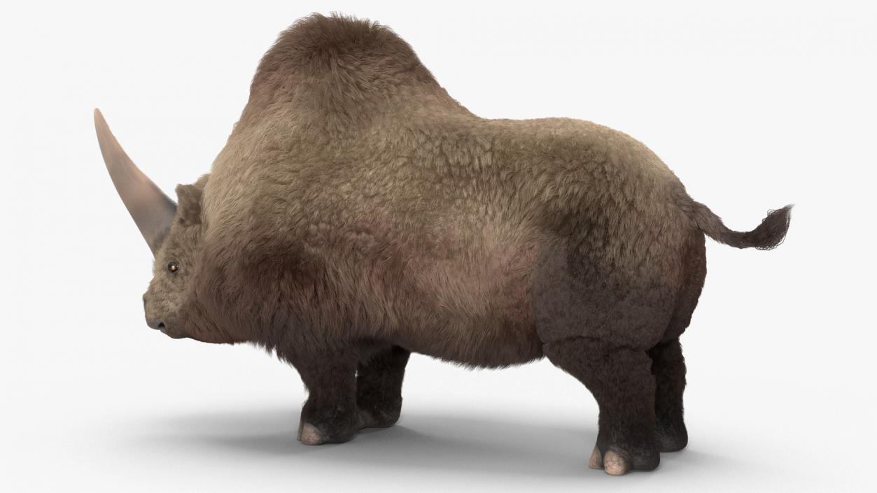 Elasmotherium Rigged Fur 3D model