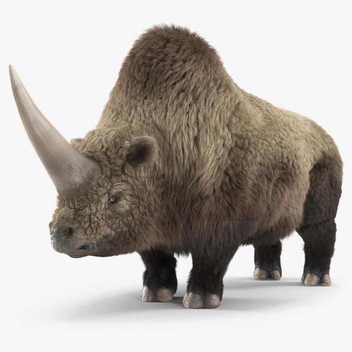 Elasmotherium Rigged Fur 3D model