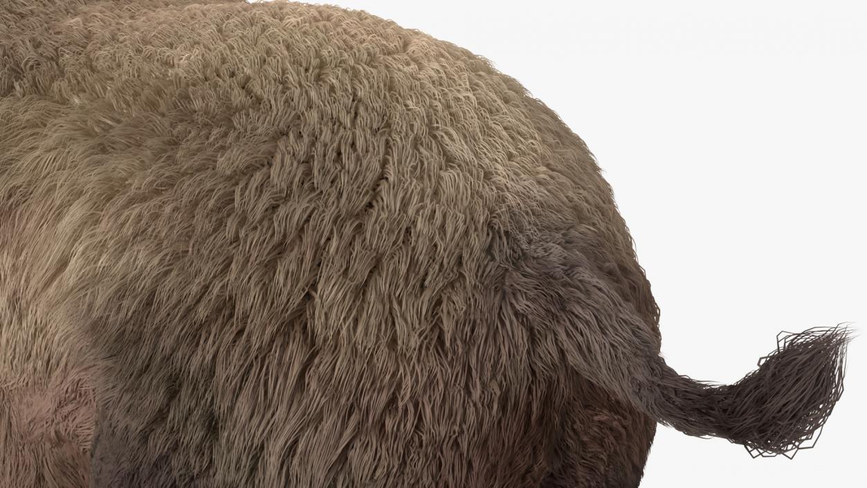 Elasmotherium Rigged Fur 3D model